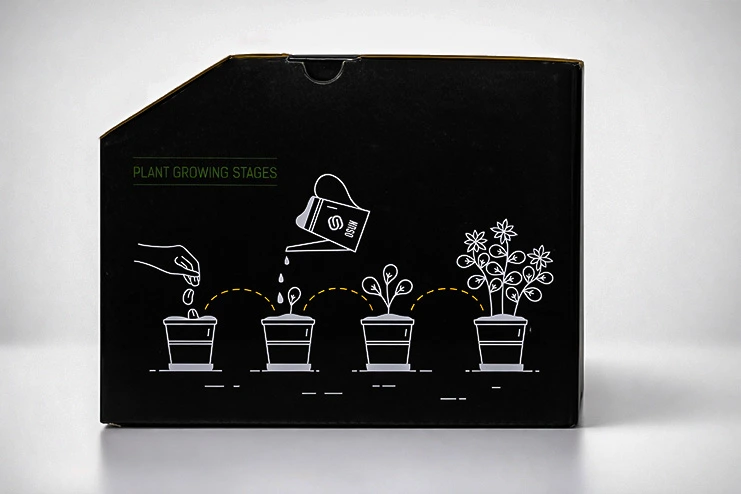 بهترین کود برای گیاهان آپارتمانی