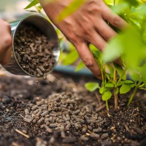 کوددهی ارگانیک