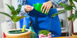 کودمایع و کودپودری